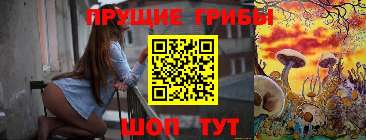 Псилоцибиновые грибы Psilocybine cubensis  Вход с VPN  Коммунар 